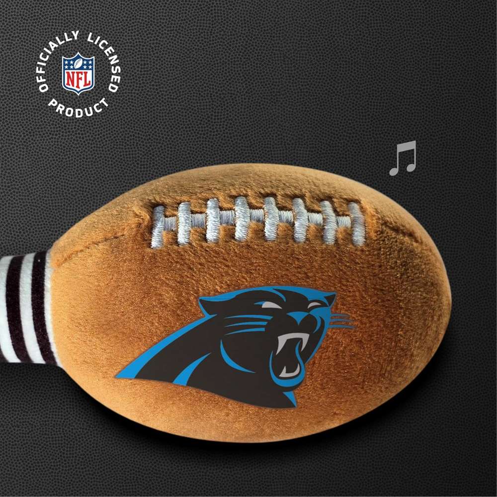 Carolina Panthers Rattle - Image 5