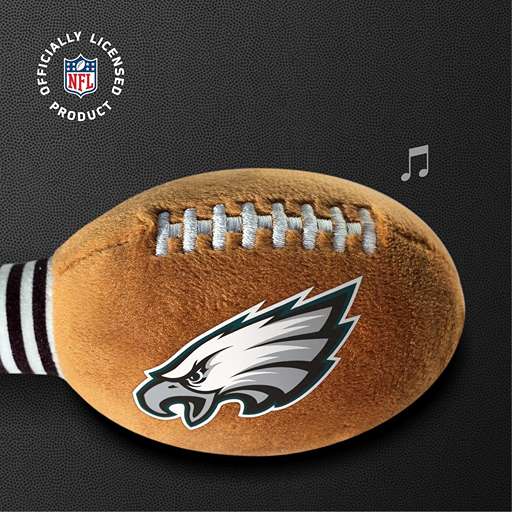 Philadelphia Eagles Rattle - Image 4